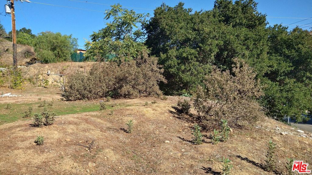 30000 Madison Way Property Photo 5