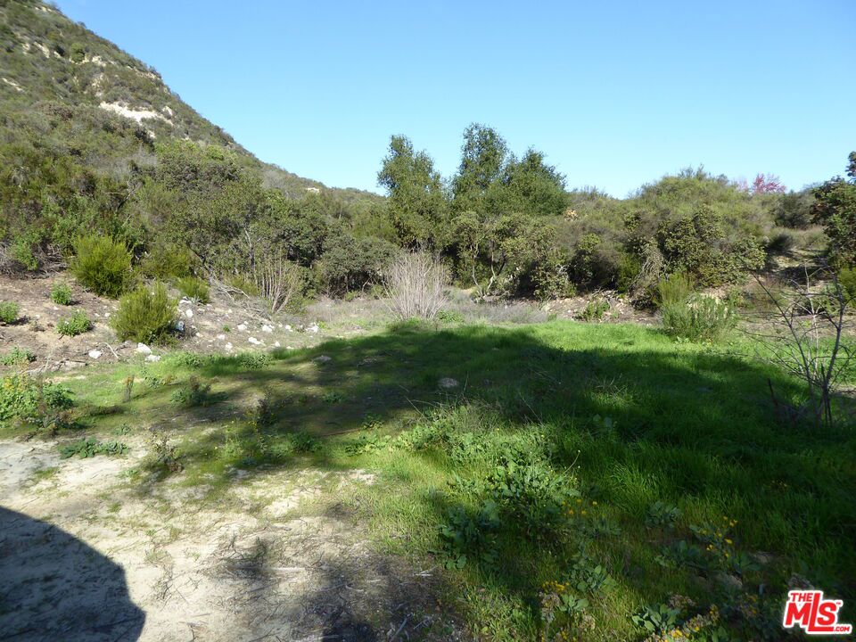 0 Luse Tank Rd Property Photo 1