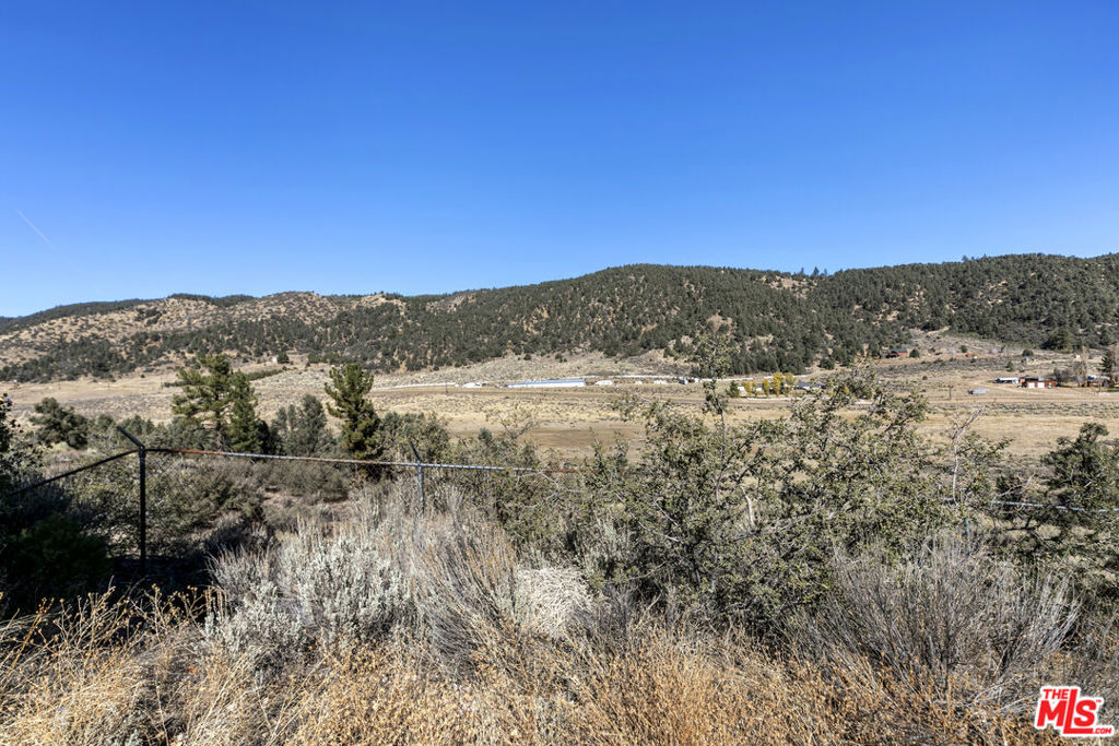 9317 Whispering Pines Road Property Photo 4