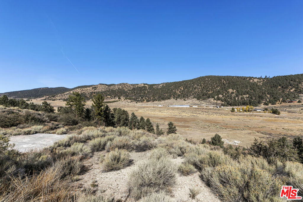 9317 Whispering Pines Road Property Photo 8