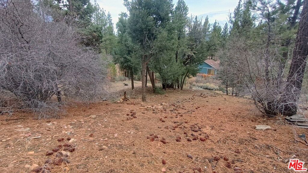 384 Cinderella Drive Property Photo 2