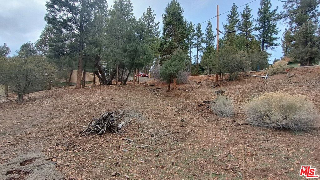 384 Cinderella Drive Property Photo 4