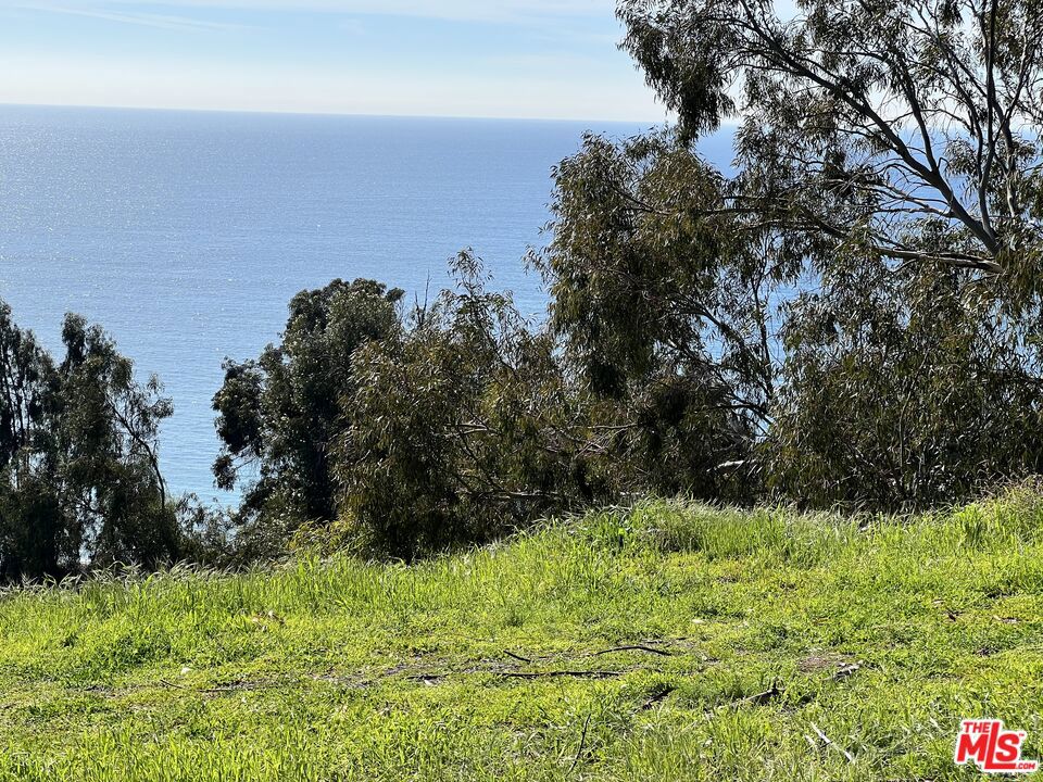 21500 Rambla Vista Property Photo 6