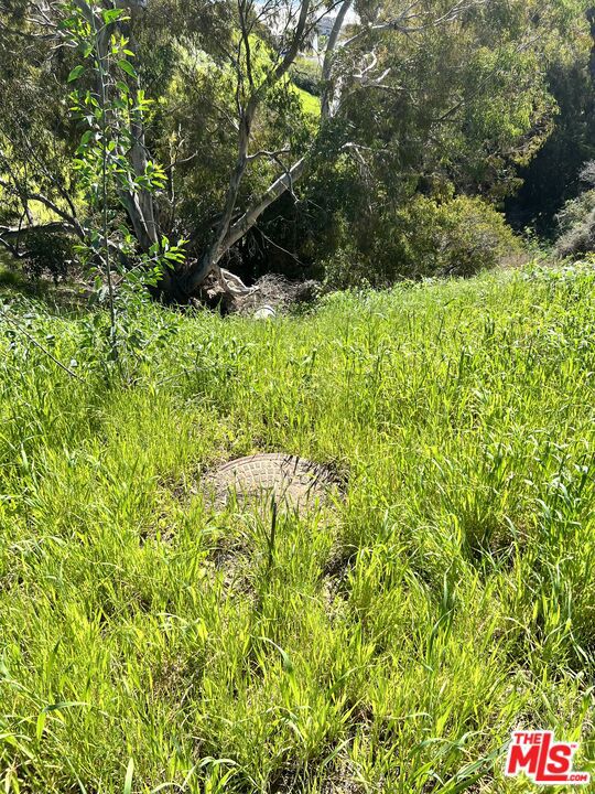 21500 Rambla Vista Property Photo 8