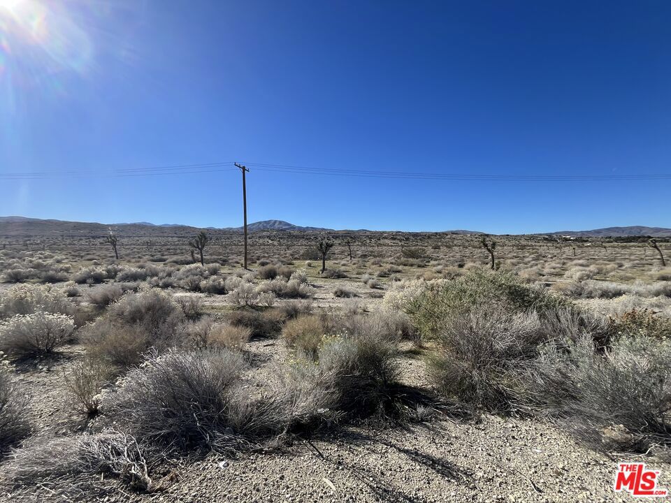 6298 Pearblossom Highway Property Photo 6