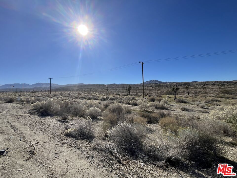 6298 Pearblossom Highway Property Photo 7