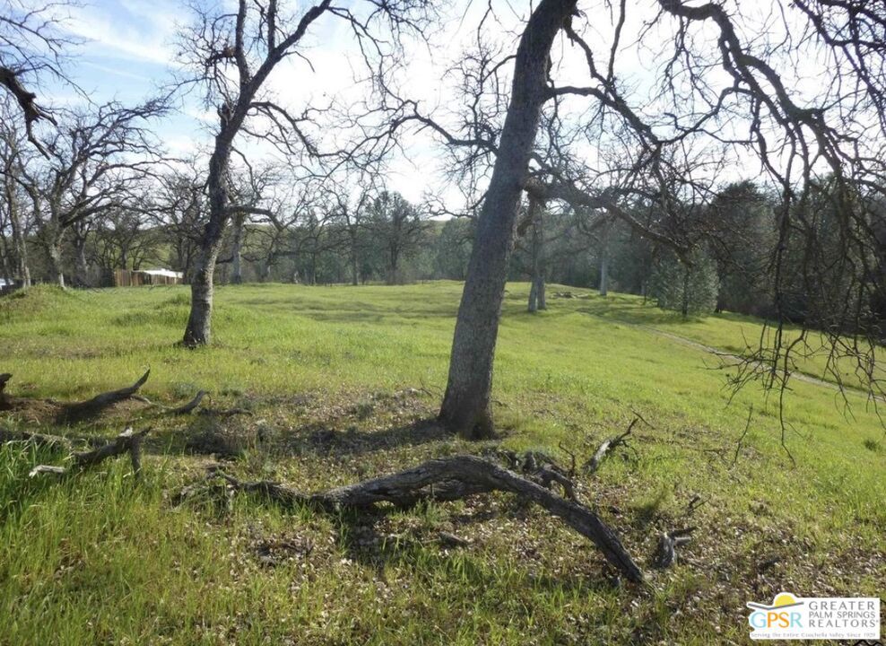 17333 Wagon Wheel Drive Property Photo 2