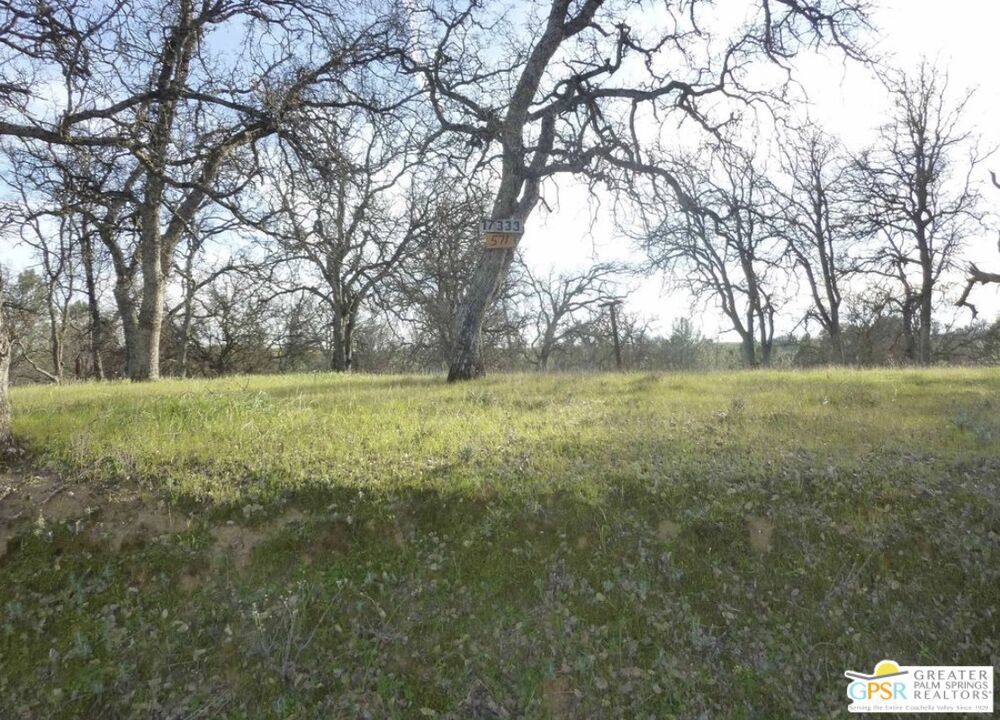 17333 Wagon Wheel Drive Property Photo 4