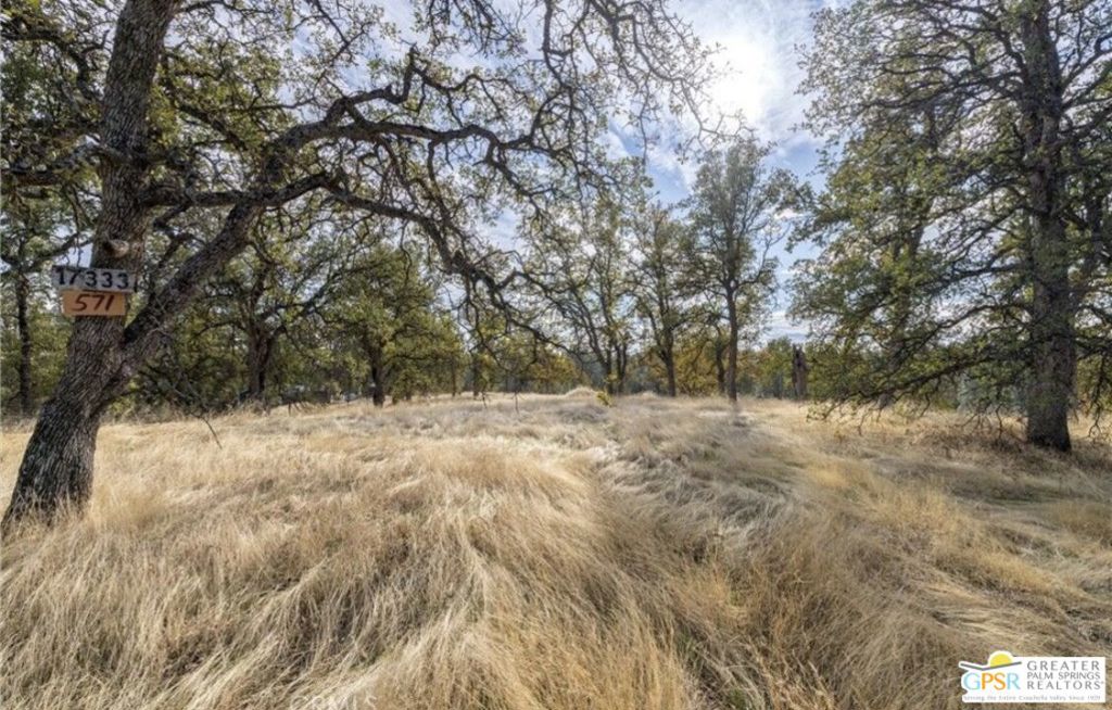 17333 Wagon Wheel Drive Property Photo 8