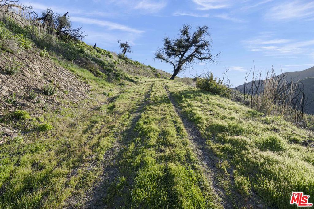 1100 Kanan Dume Road Property Photo 6