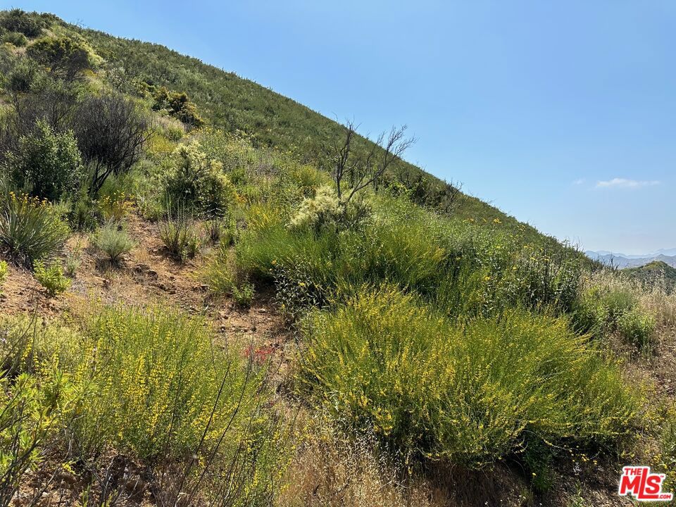 0 Kanan Road Property Photo 23