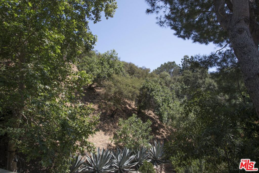 1023 Hollybush Property Photo 9
