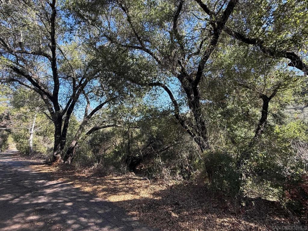 0 Wildcat Canyon Road Property Photo 1