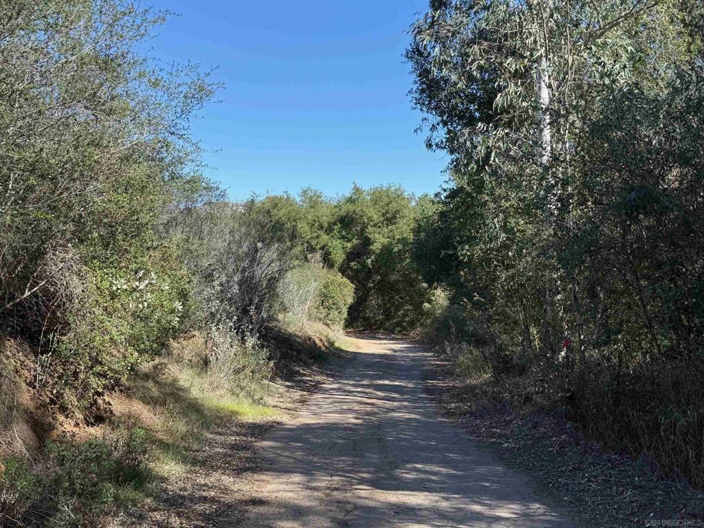 0 Wildcat Canyon Road Property Photo 6