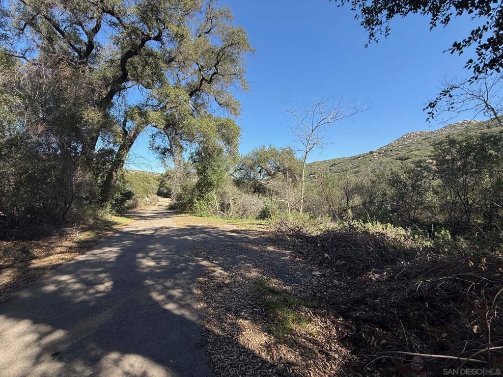 0 Wildcat Canyon Road Property Photo 8