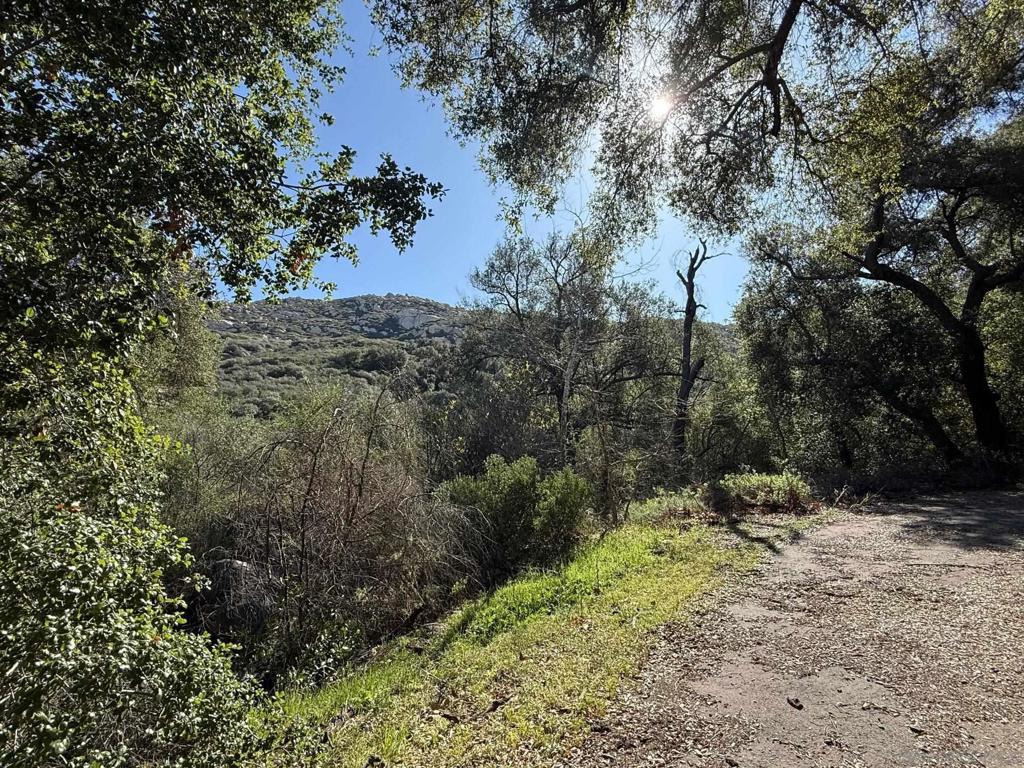 0 Wildcat Canyon Road Property Photo 9