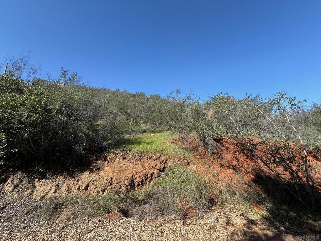 0 Wildcat Canyon Road Property Photo 10