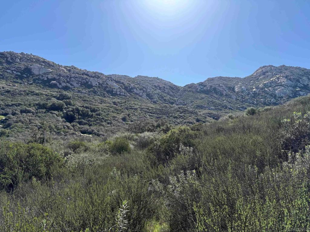 0 Wildcat Canyon Road Property Photo 12