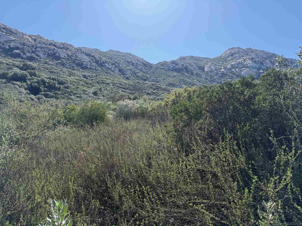 0 Wildcat Canyon Road Property Photo 14