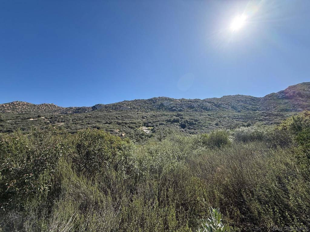 0 Wildcat Canyon Road Property Photo 15