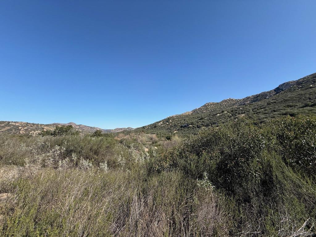 0 Wildcat Canyon Road Property Photo 16
