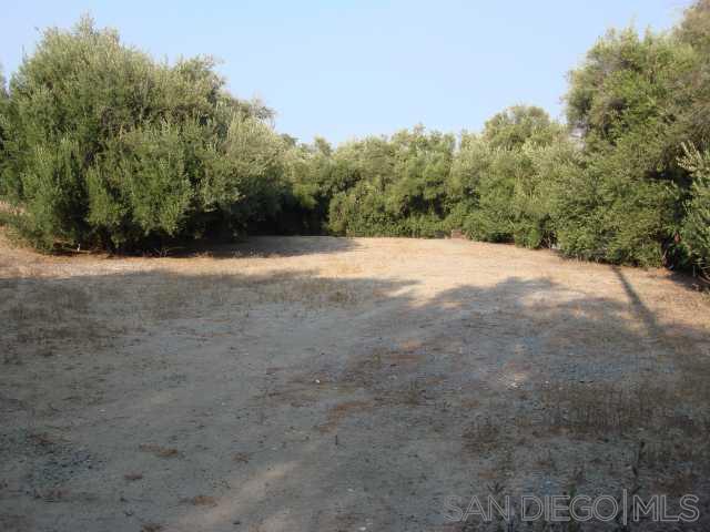 1252 Navel Place Property Photo 1