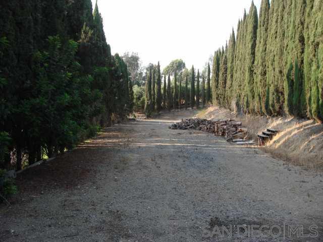 1252 Navel Place Property Photo 3