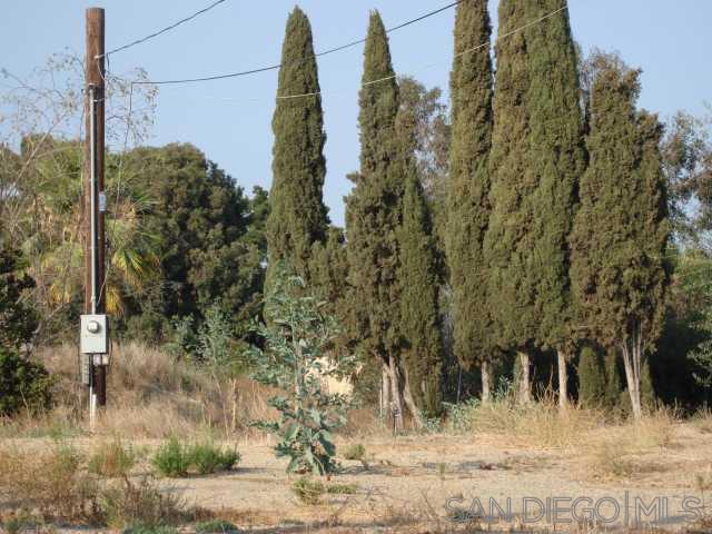 1252 Navel Place Property Photo 6