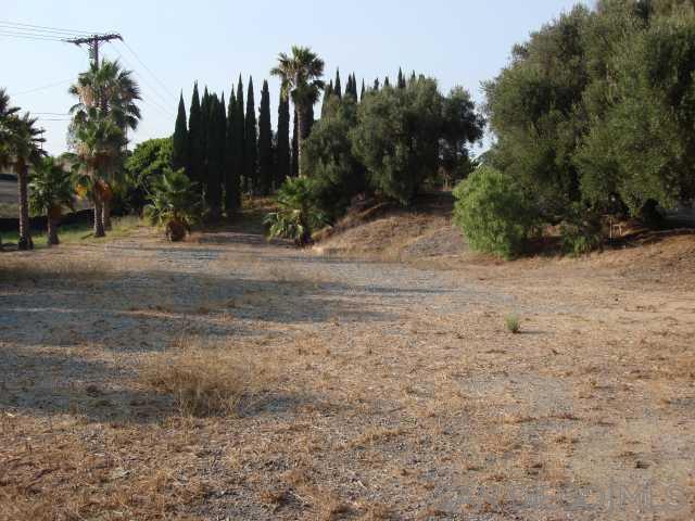 1252 Navel Place Property Photo 8