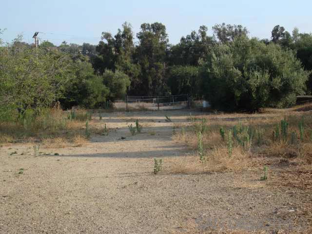 1252 Navel Place Property Photo 9