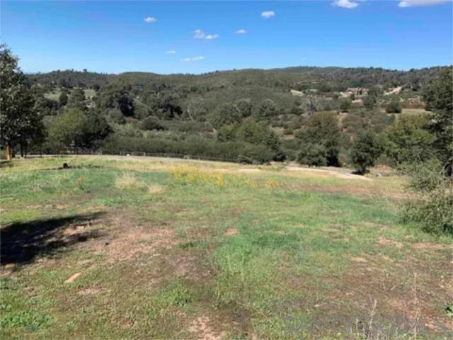 17461 Harrison Park Rd Property Photo 10