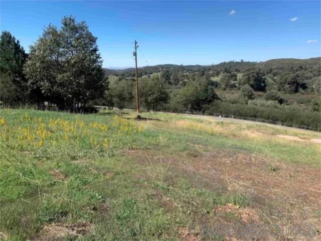 17461 Harrison Park Rd Property Photo 11