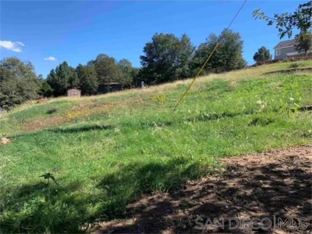 17461 Harrison Park Rd Property Photo 19