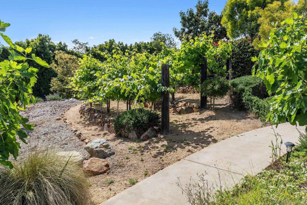 6565 Calle Reina Property Photo 31