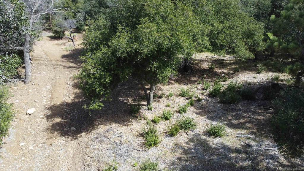 2716 Payson Dr Property Photo 4