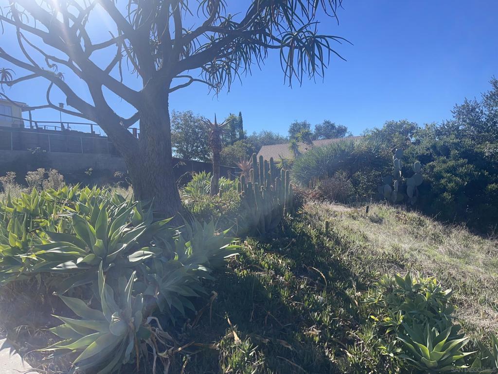 238 Lilac Property Photo 8