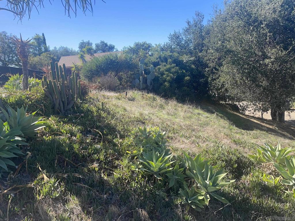 238 Lilac Property Photo 9