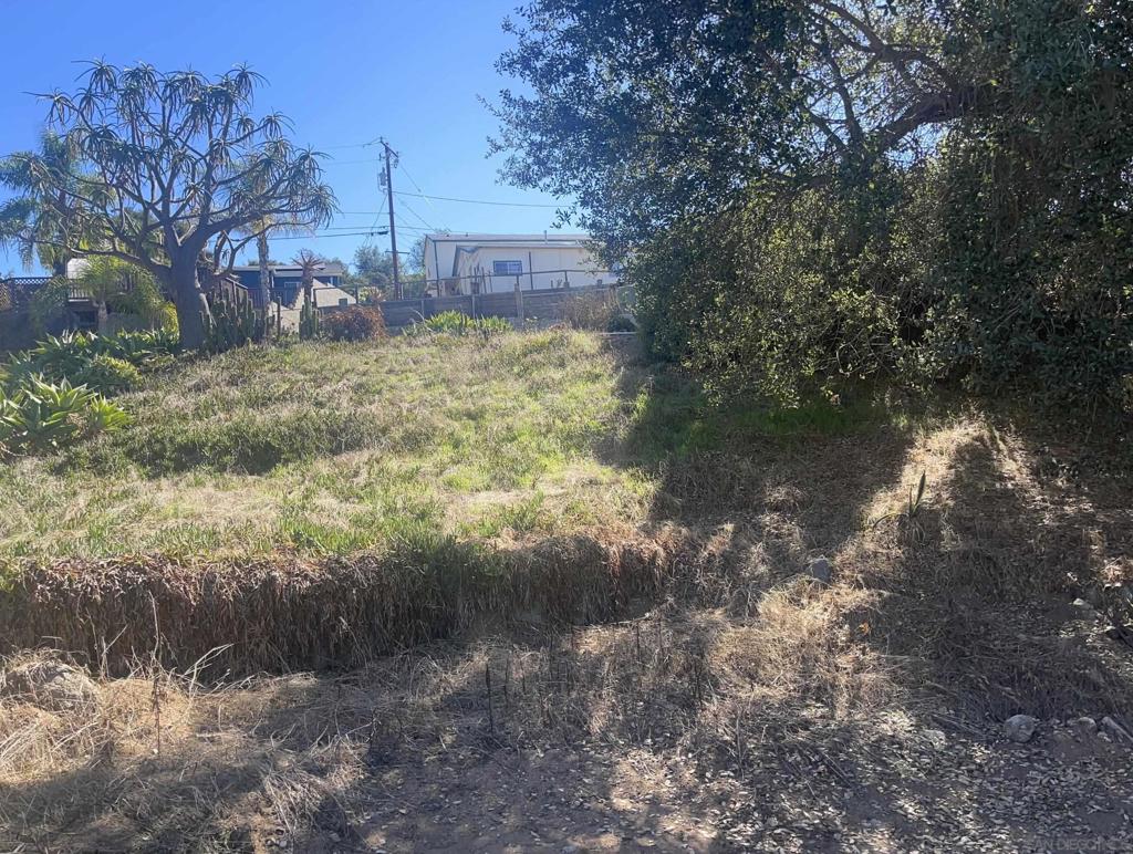238 Lilac Property Photo 11