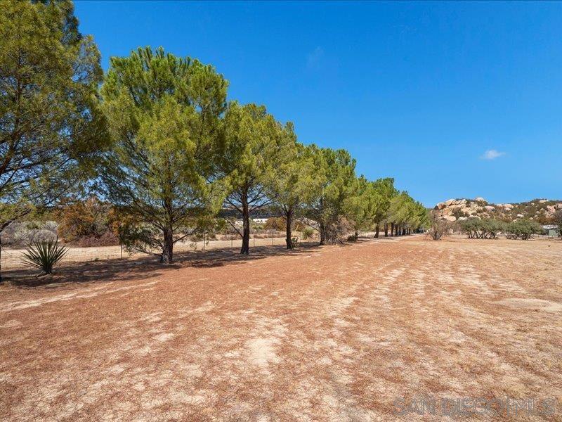 41083 Old Highway 80 Property Photo 42