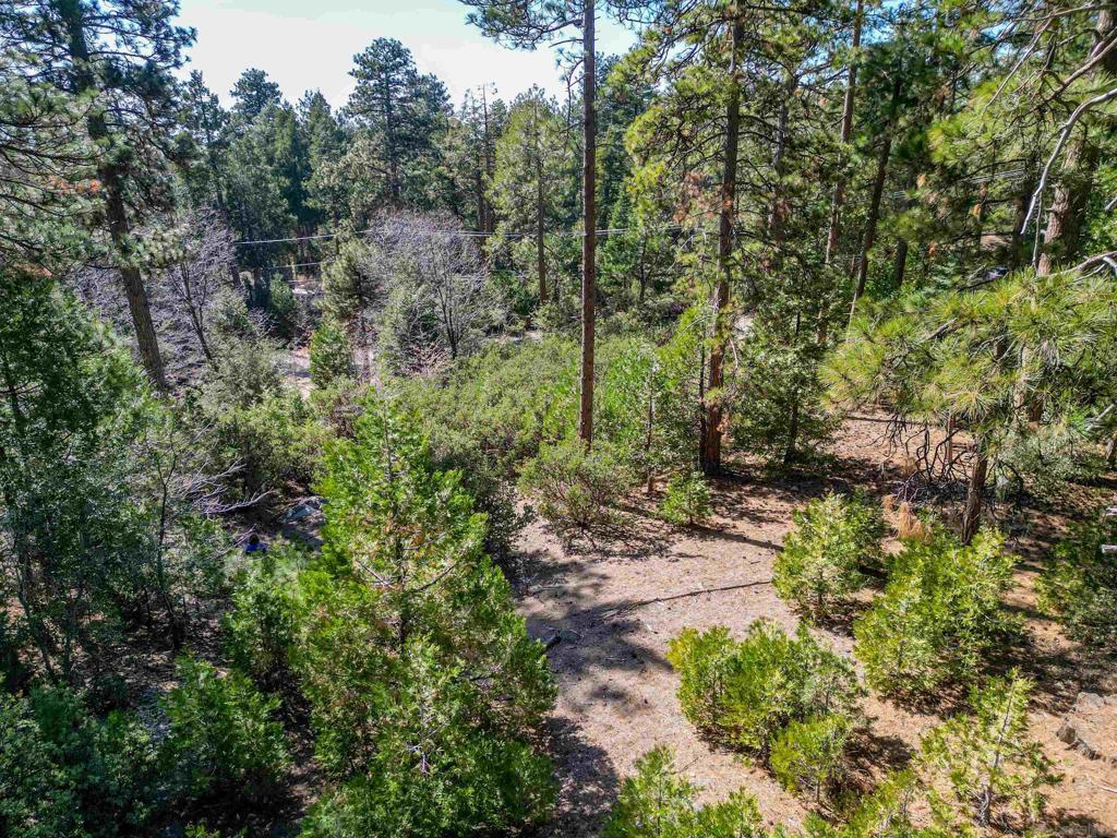 0 Laurel Trail Property Photo 4