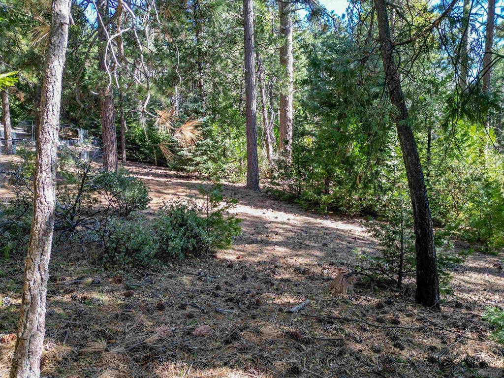 0 Laurel Trail Property Photo 5
