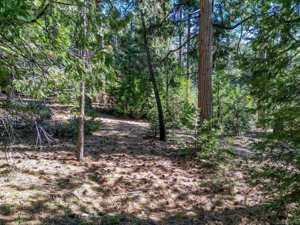 0 Laurel Trail Property Photo 6