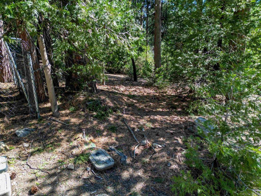 0 Laurel Trail Property Photo 7