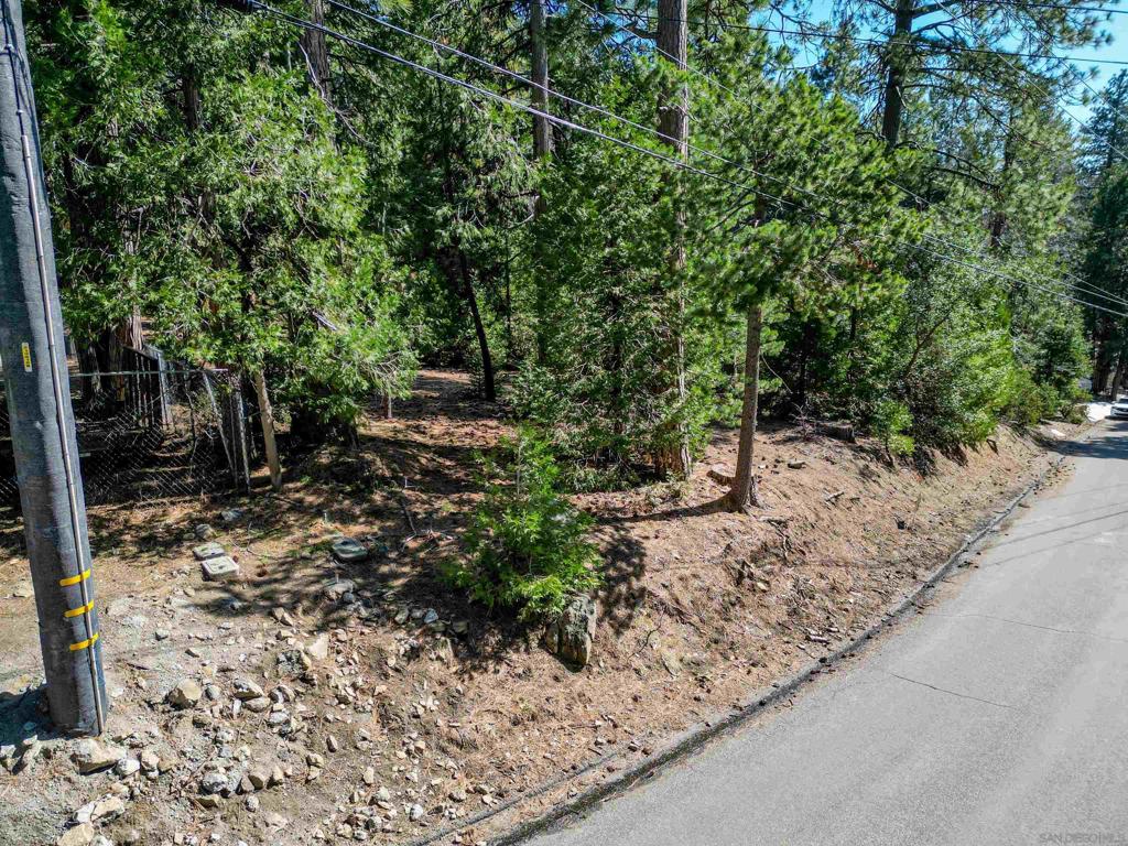 0 Laurel Trail Property Photo 10