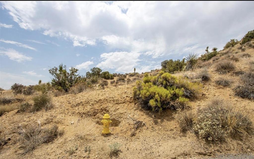 55705 Free Gold Drive Property Photo 8