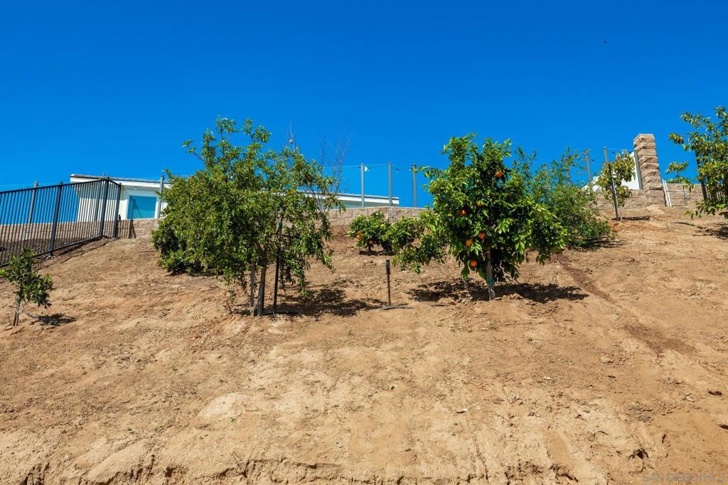 3029 Via De Todos Santos Property Photo 60