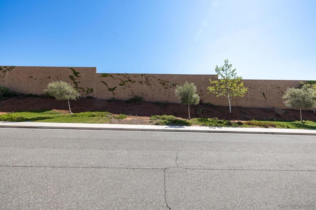 3029 Via De Todos Santos Property Photo 61