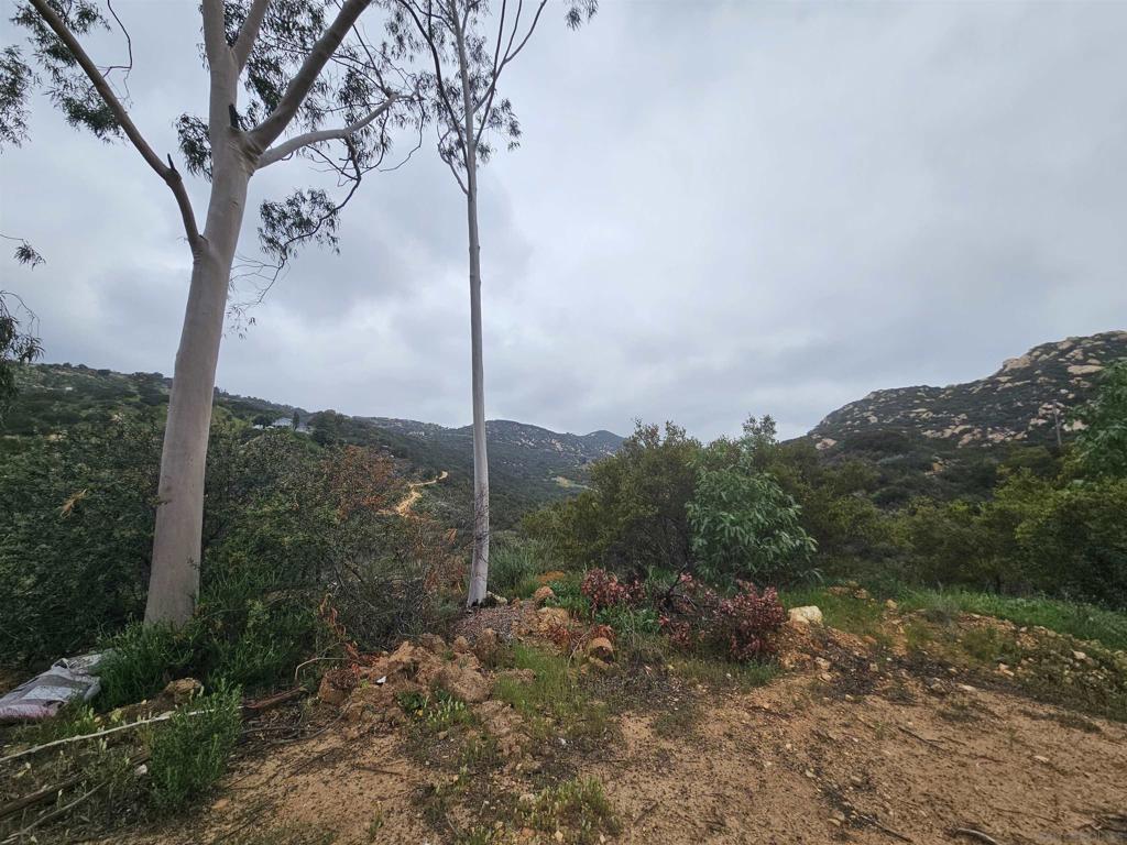 6465 Rainbow Heights Property Photo 13