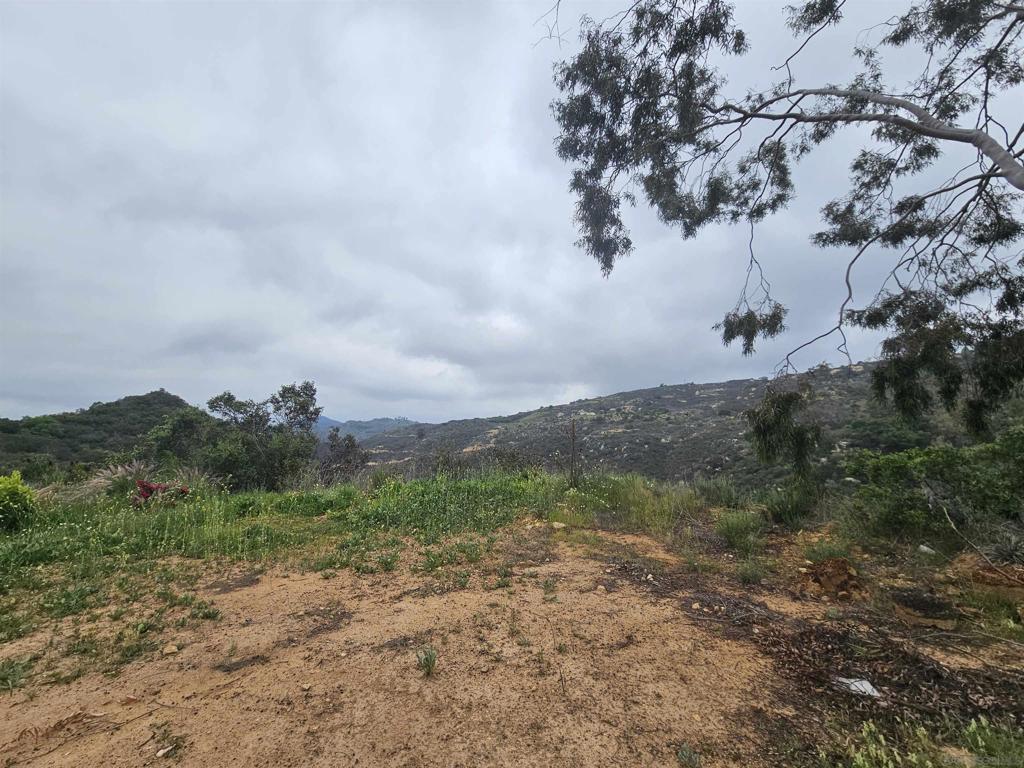 6465 Rainbow Heights Property Photo 24