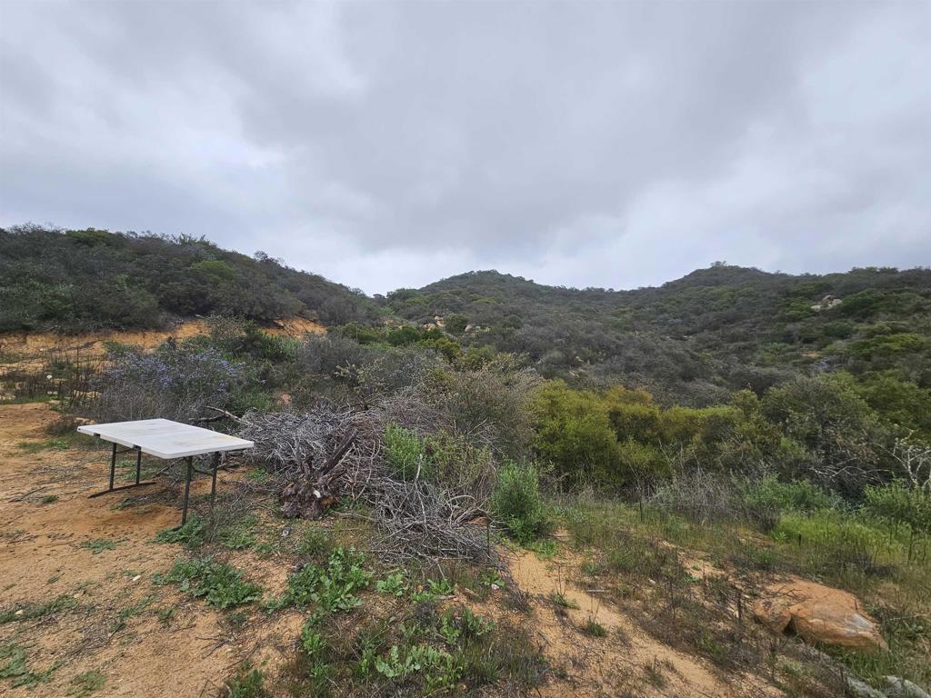 6465 Rainbow Heights Property Photo 35